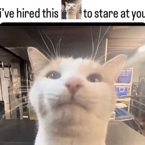 Meet your Posher, Fisher